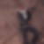 Profilbild von Sven Niesen