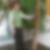Profilbild von Laverne Buzdogan