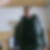 Profilfoto von Harun Kalkan