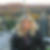 Profilbild von Bianca Busch