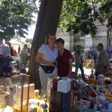 Profilfoto von Gabriele Bollin