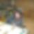 Profilbild von Astrid Joest