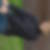 Profilbild von Ramona Bock