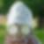Profilbild von Astrid Springer