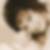 Profilbild von Liane Brockmann
