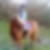 Profilbild von Jacqueline Gier