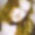 Profilbild von Sandra Howard