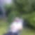 Profilbild von Guido Dannies