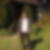 Profilbild von Norbert Venten