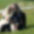 Profilbild von Corinna Marquardt