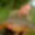 Profilbild von Patrick Thieken
