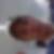 Profilbild von Marcell Lopadtke