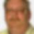 Profilbild von Harald Hille 