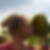 Profilbild von Nicole Lenth-Burwig