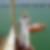 Profilbild von Christoph Schroth