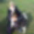Profilbild von Bettina Krause