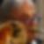 Profilbild von Fred Greser