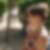 Profilbild von Annelie Sommer