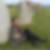 Profilbild von Frank Jerosch