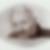 Profilbild von Roland Brauchler