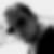 Profilbild von Dirk Willig