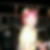 Profilbild von Eileen Gregor
