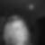 Profilbild von Sibylle Schneider