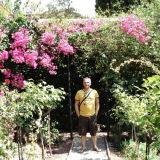 Profilfoto Dirk Böhm Profilfoto von Dirk Böhm