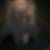 Profilbild von Robert Knevel