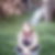 Profilbild von Marianne Moll