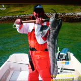 Profilfoto Frank Schneeberg Profilfoto von Frank Schneeberg