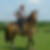 Profilbild von Thomas Schindler