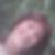Profilbild von Janett Straub