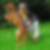 Profilbild von Danny Franke
