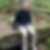 Profilbild von Lorenz Laibold