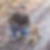 Profilbild von Horst Spreng