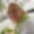 Profilbild von Doris Guerster