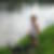 Profilbild von Angela Wiese
