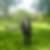 Profilbild von Christopher Hiller