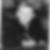 Profilbild von Hermann Nögel