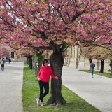 Profilfoto von Maria Himmel