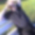 Profilbild von Andreas Hertel