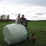 Profilfoto Andre Schott Profilfoto von Andre Schott