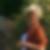 Profilbild von Sylvia-Martina Schmidt