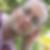 Profilbild von Josef Schwarzkopf