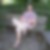 Profilbild von Alexander Mathies