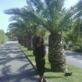 Profilfoto von Jürgen Ring