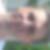 Profilbild von Jörg Eichstädt