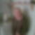 Profilbild von Natascha Dreher