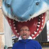 Profilfoto von Klaus-Detlef Köhler